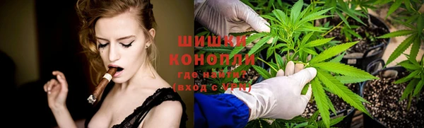 PSILOCYBIN Нея