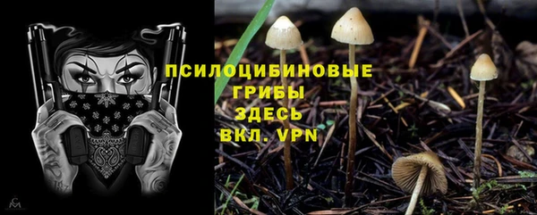 молекула духа Алзамай