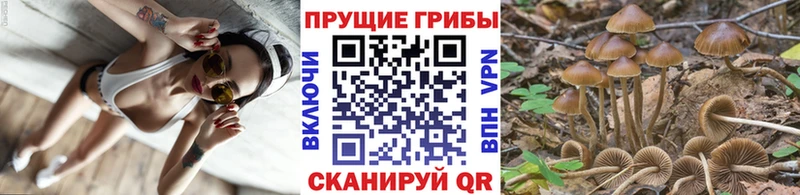 Псилоцибиновые грибы MAGIC MUSHROOMS  Хвалынск 